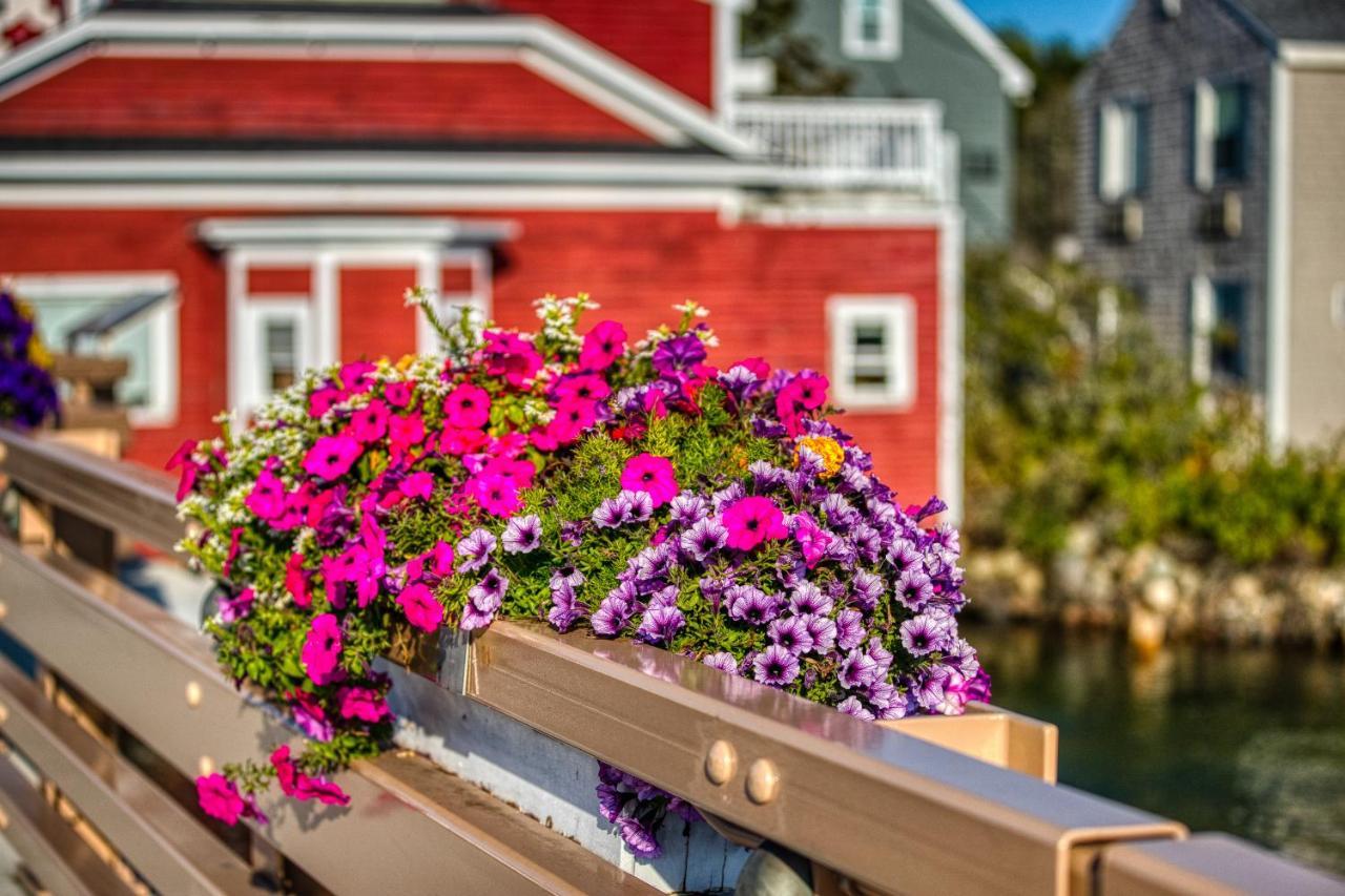 Quaint Bungalow Kennebunk Εξωτερικό φωτογραφία